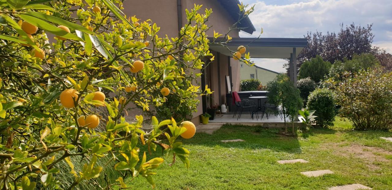 La Tina Daire Zagreb Dış mekan fotoğraf